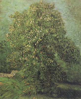 Chestnut Tree in Blosson (nn04)